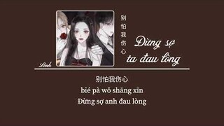 [Vietsub] Đừng sợ ta đau lòng • Duyệt Khai Tâm i & Trương Gia Vượng i ♪ 别怕我伤心 • 悦开心i & 张家旺i