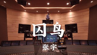 张宇《囚鸟》百万豪装录音棚大声听【Hi-res】