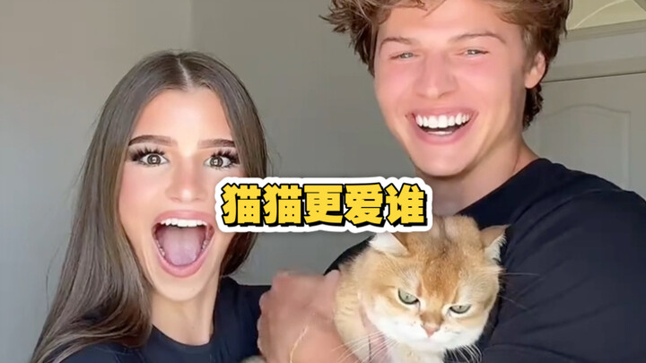 Xem các bé mèo yêu ai hơn 🧐