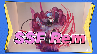 Unboxing of SSF Rem---Crystal Dress Rem in various color