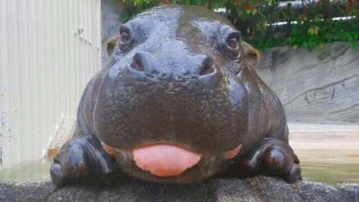 น่าเกลียด น่ารัก สุดยอด