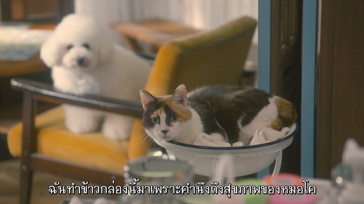 โบคุโตะชิปโปะตอน2