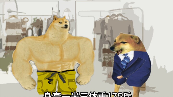 Apa yang harus dipakai pacar dengan tinggi 175 cm dan berat 130 kg?