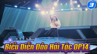 Đảo Hải Tặc OP14 - Fight Together Cùng Chiến Đấu | Namie Amuro Genic Tour_3