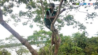 ANG BUNGA SA KAHOYNG TUGAS 1