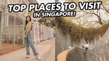 TOP 10 PLACES TO VISIT IN SINGAPORE FOR FREE | SINGAPORE VLOG PART 2 | WE DUET