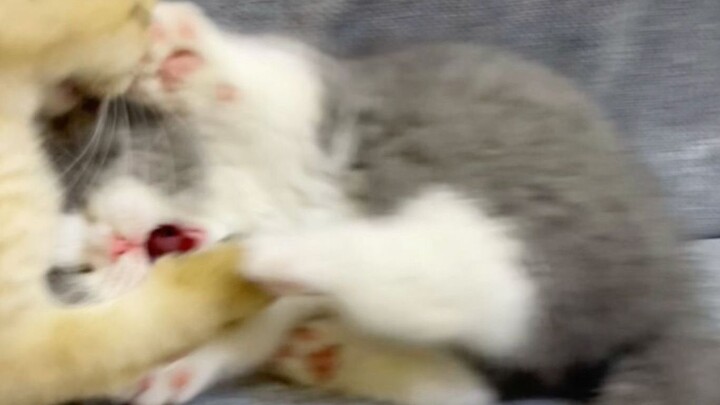 ثلاثة آلاف يوان خاصتي تتحدى عشرة آلاف يوان خاصتي!