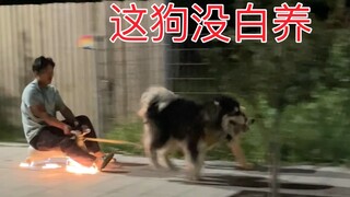 Dog: I can only help you so far.