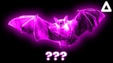 15 "Bat squeaking" Sound Variations in 45 Seconds