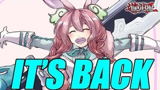 The Yu-Gi-Oh! Metagame Counter Returns