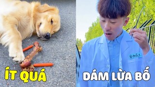 Gâu Đần Family | Đản Hoàng Bày Trò Ăn Vạ Bố Để Có Đồ Ăn Ngon Nhưng Bất Thành 🤣 Gâu Đần Official