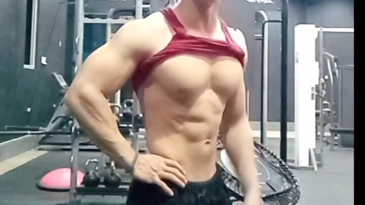 tektek lev