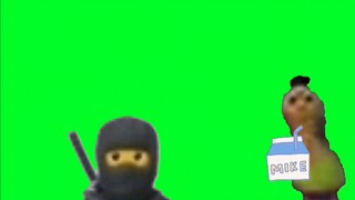 Hamm và Ninja