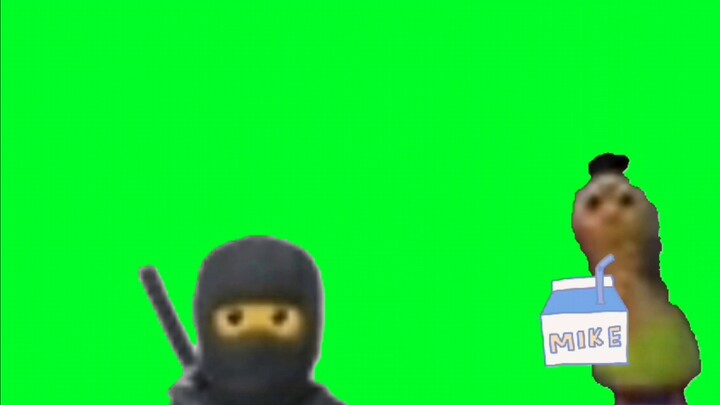 Hamm and the Ninja