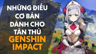 Những điều cơ bản dành cho tân thủ Genshin Impact