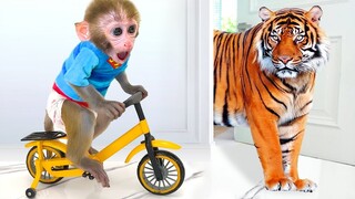 Monkey Baby Bon Bon Ride a Bike and eats watermelon with ducklings in the garden