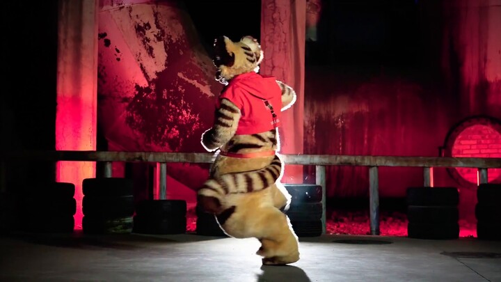 [FursuitDance] Shocked! Two-dimensional little tiger flipping Jujutsu Kaisen OP Qu Huiqi Tan