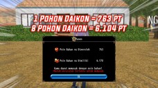 Panen Poin Bahan Makanan Dari Pohon Daikon