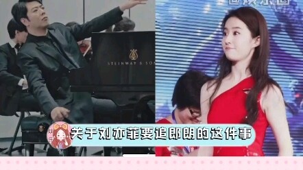 About Liu Yifei pursuing Lang Lang