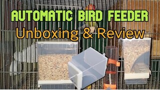 African Lovebirds | Automatic Bird Feeder UNBOXING and REVIEW
