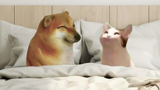 给朕拿草纸来