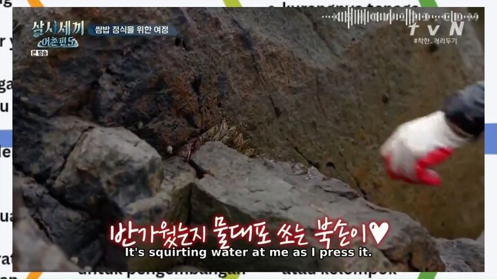 Three Meals a Day 𝕵𝖚𝖐𝖌𝖚𝖑 𝕴𝖘𝖑𝖆𝖓𝖉 E3 Pt. 2