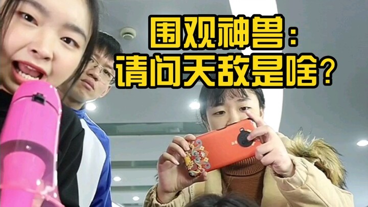 แอบดูสัตว์ศักดิ์สิทธิ์: ขอถามหน่อย ศัตรูธรรมชาติคืออะไร?