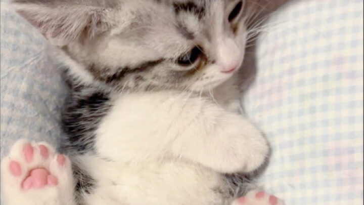 Who can handle this? So darn cute!