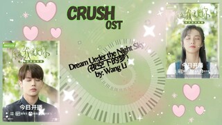 Dream Under the Night Sky 夜空下的梦  by  Wang Li - Crush OST