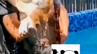 真绝了，给修勾整无语了