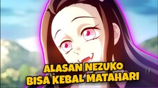 Ternyata Ini Alasan Nezuko Bisa Kebal Matahari | Demon Slayer