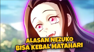 Ternyata Ini Alasan Nezuko Bisa Kebal Matahari | Demon Slayer