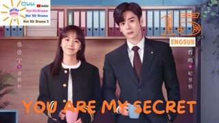 YOU ARE MY SECRET| Ep15 ENGSUB 2024| Chinese Drama | HOT HIT DRAMA