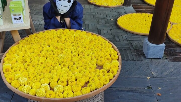 Đô đốc thứ bảy của tôi