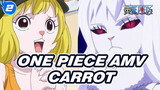 [One Piece AMV] I'm Attracted By Carrot Who's Cute And Good At Fighting!_2