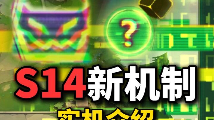 [Insider Info Group] Should you pick one Color Tier card, or two Gold Tier cards?