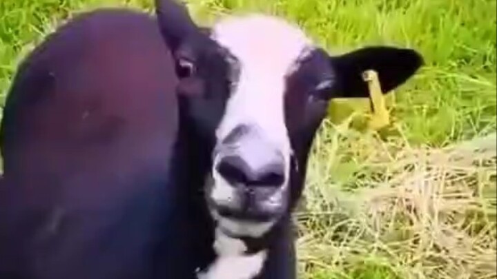 You heartless jerk finally came back to see me!
