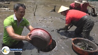 ANH EM VÂY BẮT ĐÀN CÁ ĐỐI 3 KG | Hội Ngộ Miền Tây - Tập 417