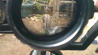 Farco 22.Cal Co2Rifle Test Fire #scopecam#pestcontrol