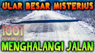 🔴 22- ULAR BESAR  MISTERIUS MENGHALANGI JALAN | PODCAST 1001 KISAH