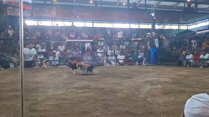 2nd fight.. Win
