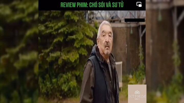 Tóm tắt phim: Chó sói và sư tử p1 #reviewphimhay