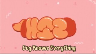 Dog Knows Everything eps 10