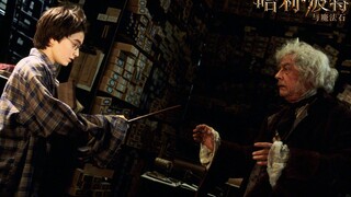 The story behind the birth of Harry Potter