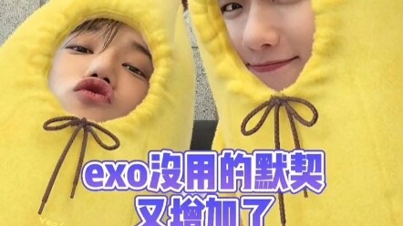 #KimJongin #ByunBaekhyun If you’re not an E-family member, don’t step through the E-family door—EXO’