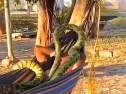 5:20 للنوم و 13:14 للاستيقاظ في الوقت المحدد🌾