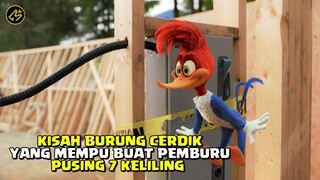 MASIH INGAT SAMA BURUNG INI? || Alur Cerita FIlm WOODY WOODPECKER (2017)