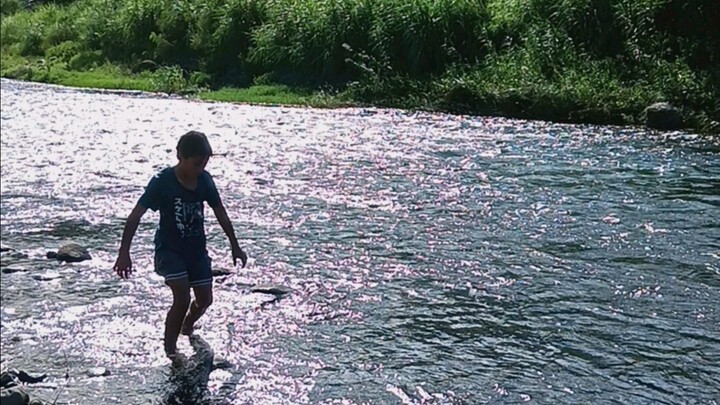 swimming with may family TRAZO