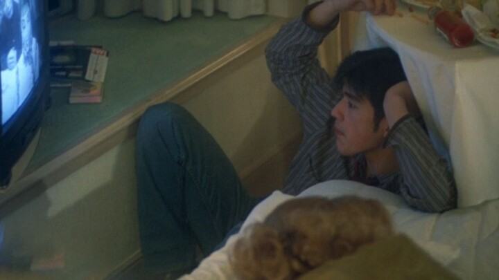 "ความรักสิ้นสุดเมื่อพระอาทิตย์ขึ้น"