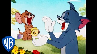 Tom y Jerry en Latino | Reto "intenta no reírte" | WB Kids